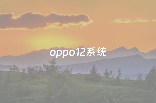 oppo12系统（OPPO12系统怎么打开开发者选项）