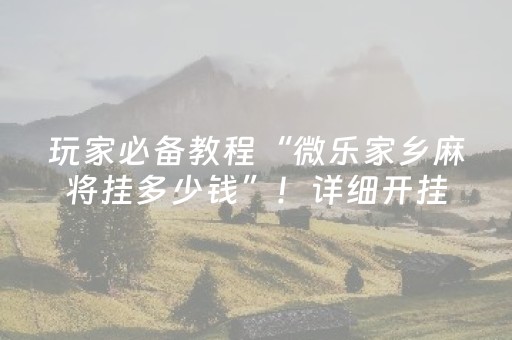 玩家必备教程“微乐家乡麻将挂多少钱”！详细开挂教程（确实真的有挂)-抖音