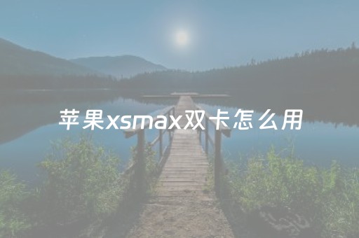 苹果xsmax双卡怎么用（苹果xsmax双卡用不了流量）