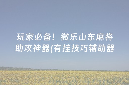 玩家必备！微乐山东麻将助攻神器(有挂技巧辅助器)