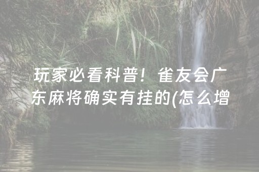 玩家必看科普！雀友会广东麻将确实有挂的(怎么增加胜率)