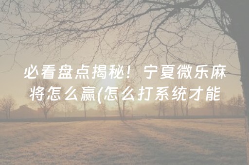 必看盘点揭秘！宁夏微乐麻将怎么赢(怎么打系统才能给好牌)