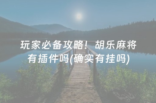 玩家必备攻略！胡乐麻将有插件吗(确实有挂吗)