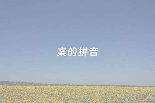 案的拼音（案的拼音和词语）