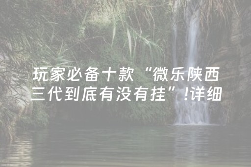 玩家必备十款“微乐陕西三代到底有没有挂”!详细开挂教程-抖音