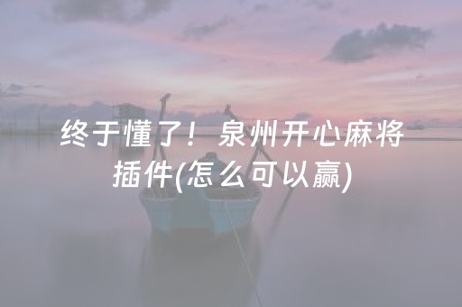 终于懂了！泉州开心麻将插件(怎么可以赢)