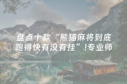 盘点十款“熊猫麻将到底跑得快有没有挂”!专业师傅带你一起了解（详细教程）-抖音