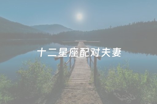 十二星座配对夫妻（十二星座配对夫妻排名）