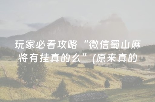 玩家必看攻略“微信蜀山麻将有挂真的么”(原来真的有挂)-抖音