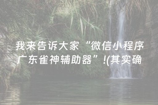 我来告诉大家“微信小程序广东雀神辅助器”!(其实确实有挂)-抖音