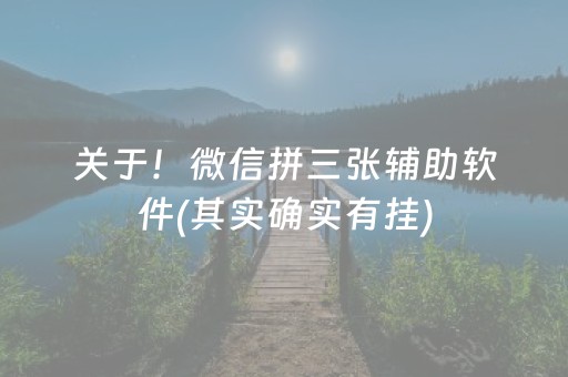 关于！微信拼三张辅助软件(其实确实有挂)