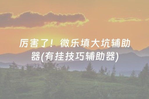 厉害了！微乐填大坑辅助器(有挂技巧辅助器)