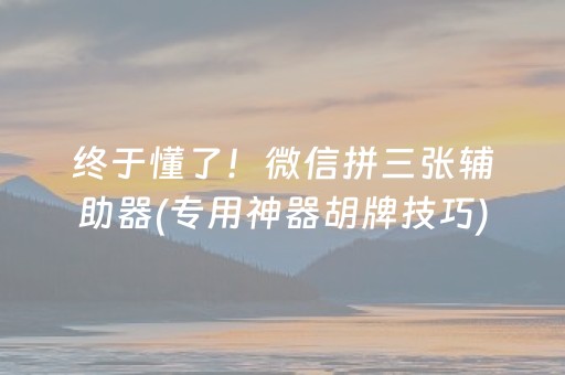 终于懂了！微信拼三张辅助器(专用神器胡牌技巧)