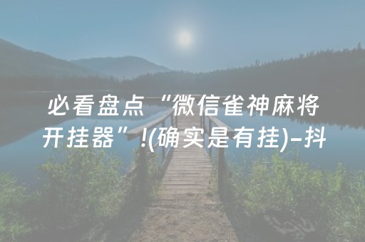 必看盘点“微信雀神麻将开挂器”!(确实是有挂)-抖音