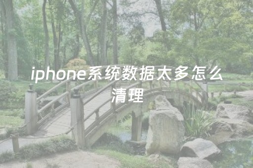 iphone系统数据太多怎么清理（苹果系统数据如何清理）