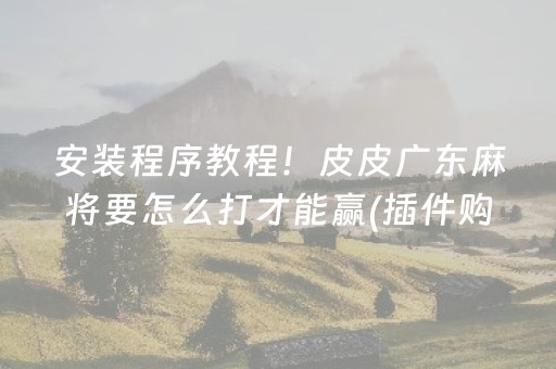 安装程序教程！皮皮广东麻将要怎么打才能赢(插件购买输赢规律)