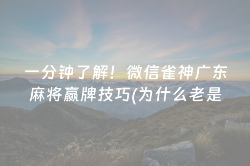 一分钟了解！微信雀神广东麻将赢牌技巧(为什么老是输)