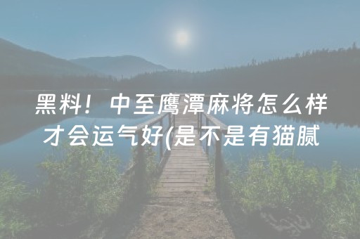 黑料！中至鹰潭麻将怎么样才会运气好(是不是有猫腻)