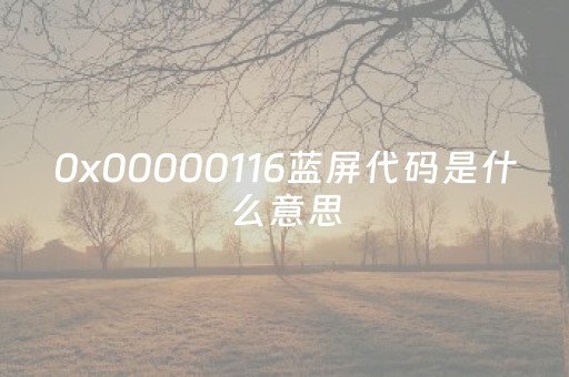 0x00000116蓝屏代码是什么意思（0x0000016蓝屏解决）