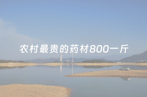 农村最贵的药材800一斤（农村最贵的药材800一斤 最值钱）