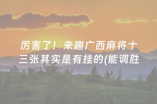 厉害了！来趣广西麻将十三张其实是有挂的(能调胜率吗)