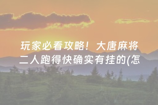 玩家必看攻略！大唐麻将二人跑得快确实有挂的(怎么提高好牌几率)