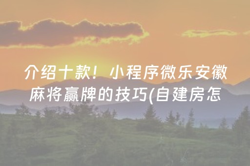 介绍十款！小程序微乐安徽麻将赢牌的技巧(自建房怎么赢)