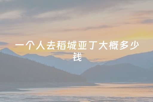 一个人去稻城亚丁大概多少钱（稻城亚丁一个人游攻略）