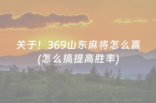 关于！369山东麻将怎么赢(怎么搞提高胜率)