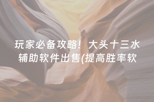 玩家必备攻略！大头十三水辅助软件出售(提高胜率软件)