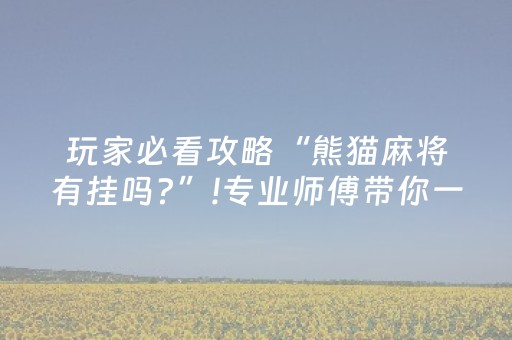 玩家必看攻略“熊猫麻将有挂吗?”!专业师傅带你一起了解（详细教程）-抖音