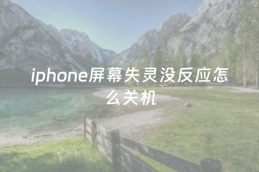 iphone屏幕失灵没反应怎么关机（苹果手机屏幕失灵点不动怎么关机）