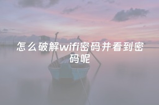 怎么破解wifi密码并看到密码呢（怎么破解wifi密码并看到密码呢苹果手机）