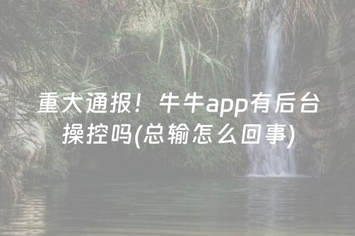 重大通报！牛牛app有后台操控吗(总输怎么回事)