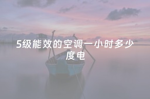 5级能效的空调一小时多少度电（5级能效的空调一小时多少度电15匹）