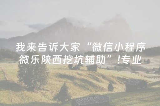 我来告诉大家“微信小程序微乐陕西挖坑辅助”!专业师傅带你一起了解（详细教程）-抖音