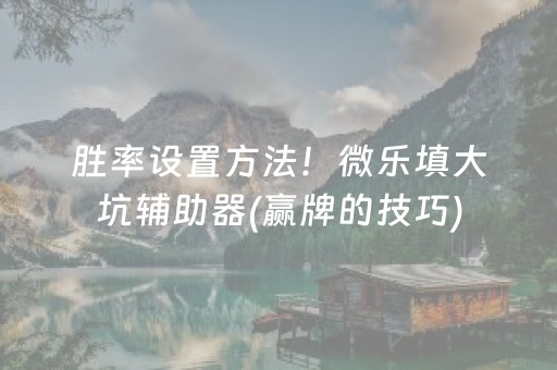 胜率设置方法！微乐填大坑辅助器(赢牌的技巧)