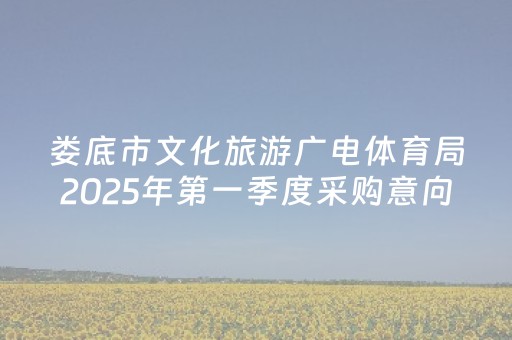 娄底市文化旅游广电体育局2025年第一季度采购意向