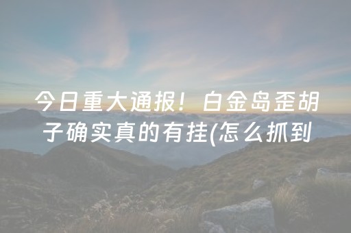 今日重大通报！白金岛歪胡子确实真的有挂(怎么抓到好牌)