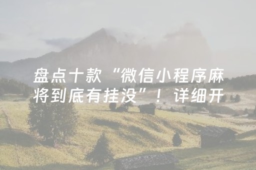 盘点十款“微信小程序麻将到底有挂没”！详细开挂教程（确实真的有挂)-抖音