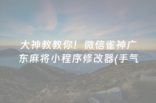 大神教教你！微信雀神广东麻将小程序修改器(手气一直很差)