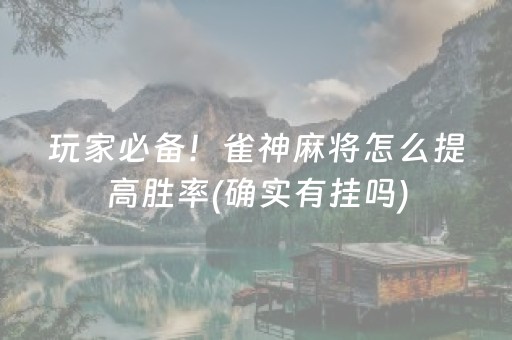 玩家必备！雀神麻将怎么提高胜率(确实有挂吗)