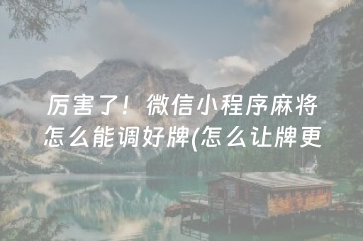 厉害了！微信小程序麻将怎么能调好牌(怎么让牌更好)