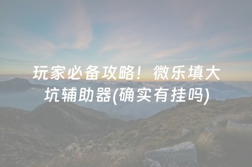 玩家必备攻略！微乐填大坑辅助器(确实有挂吗)