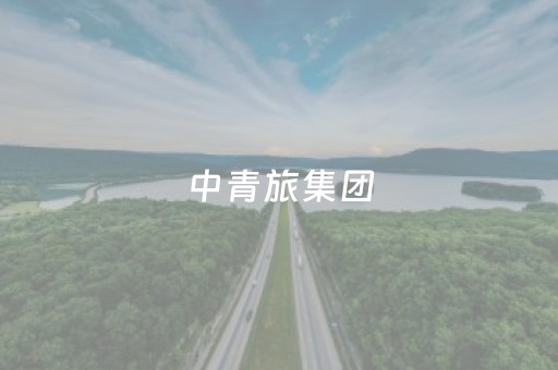 中青旅集团（中青旅集团是国企还是央企）