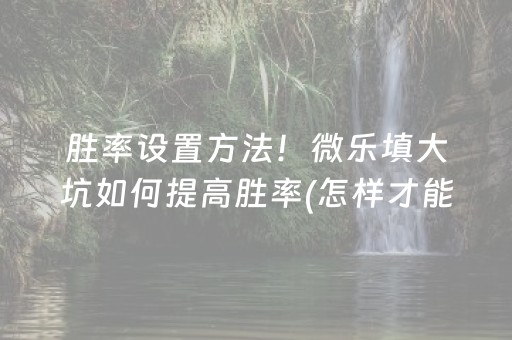 胜率设置方法！微乐填大坑如何提高胜率(怎样才能赢)