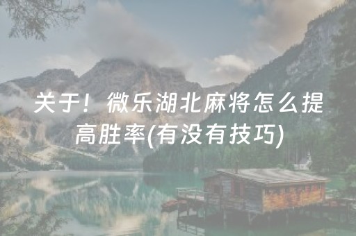 关于！微乐湖北麻将怎么提高胜率(有没有技巧)