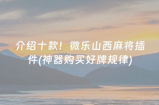 介绍十款！微乐山西麻将插件(神器购买好牌规律)