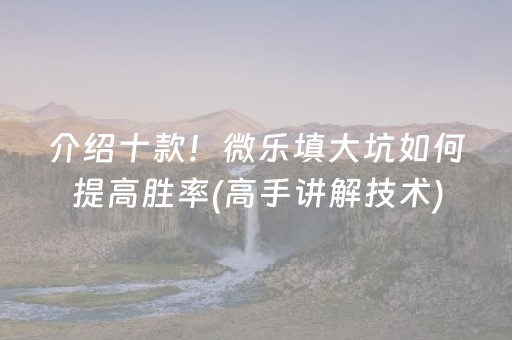 介绍十款！微乐填大坑如何提高胜率(高手讲解技术)