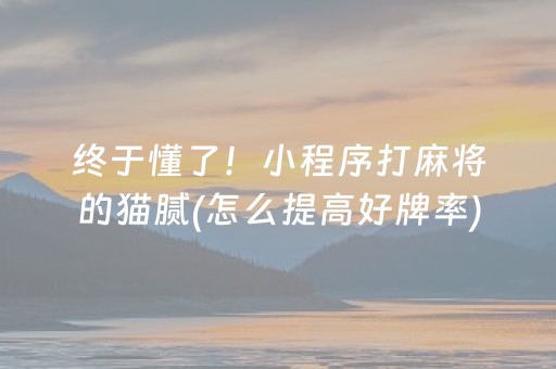 终于懂了！小程序打麻将的猫腻(怎么提高好牌率)